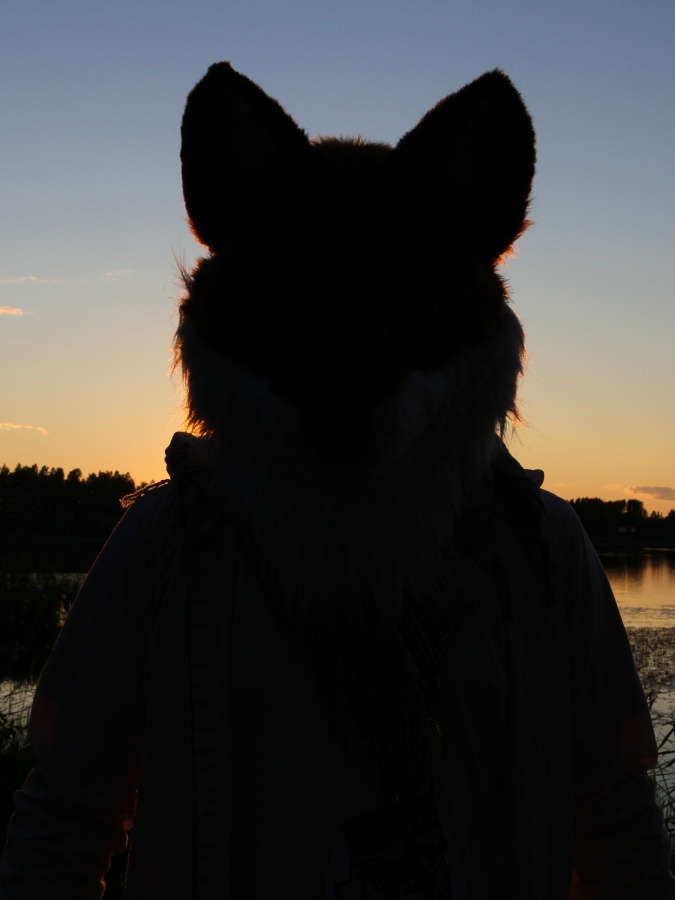 FinFur Animus 2017, Sunsets