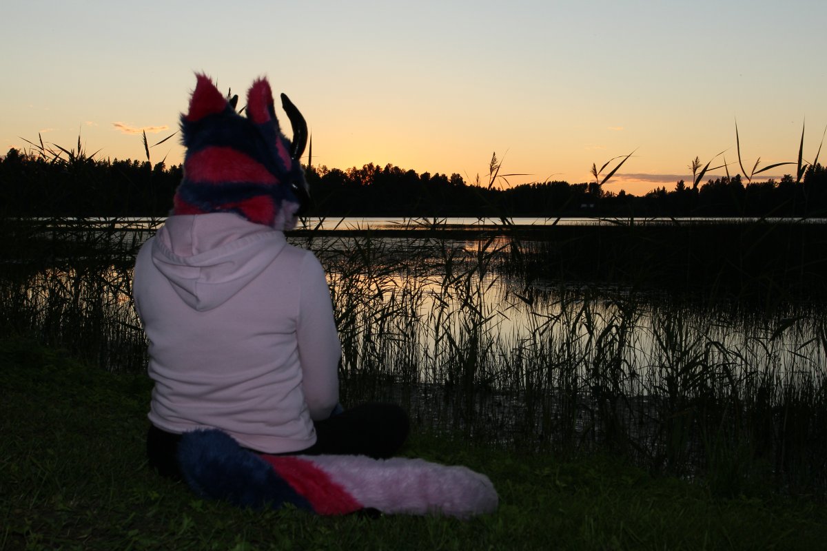 FinFur Animus 2017, Sunsets