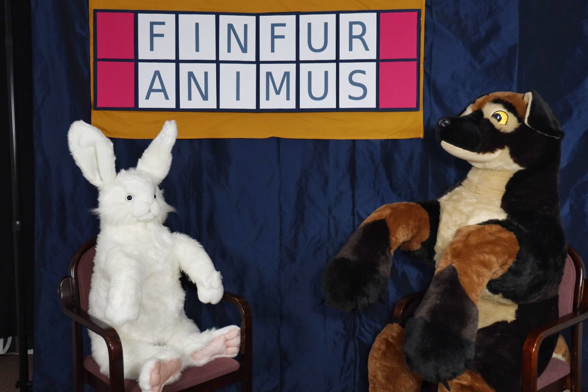 FinFur Animus 2023, Other photos