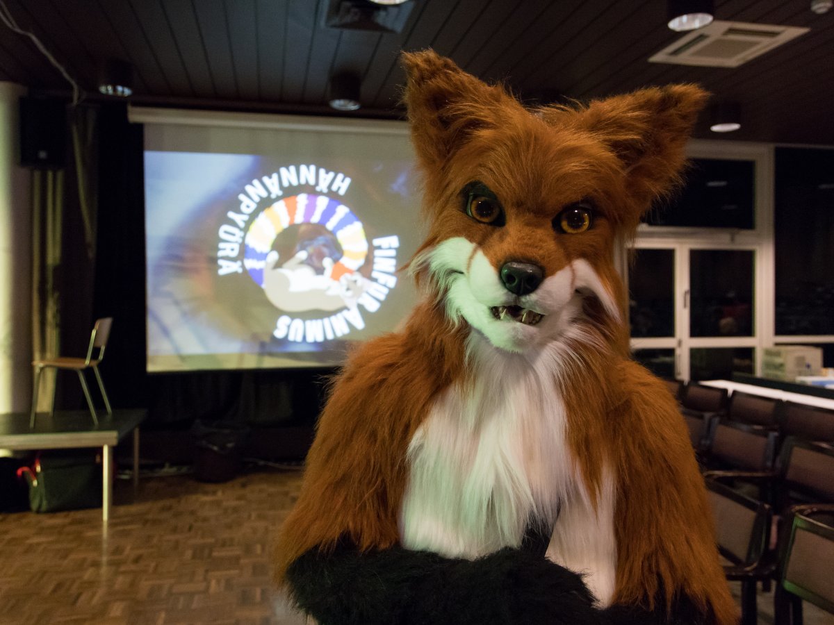 FinFur Animus 2023, Fursuits