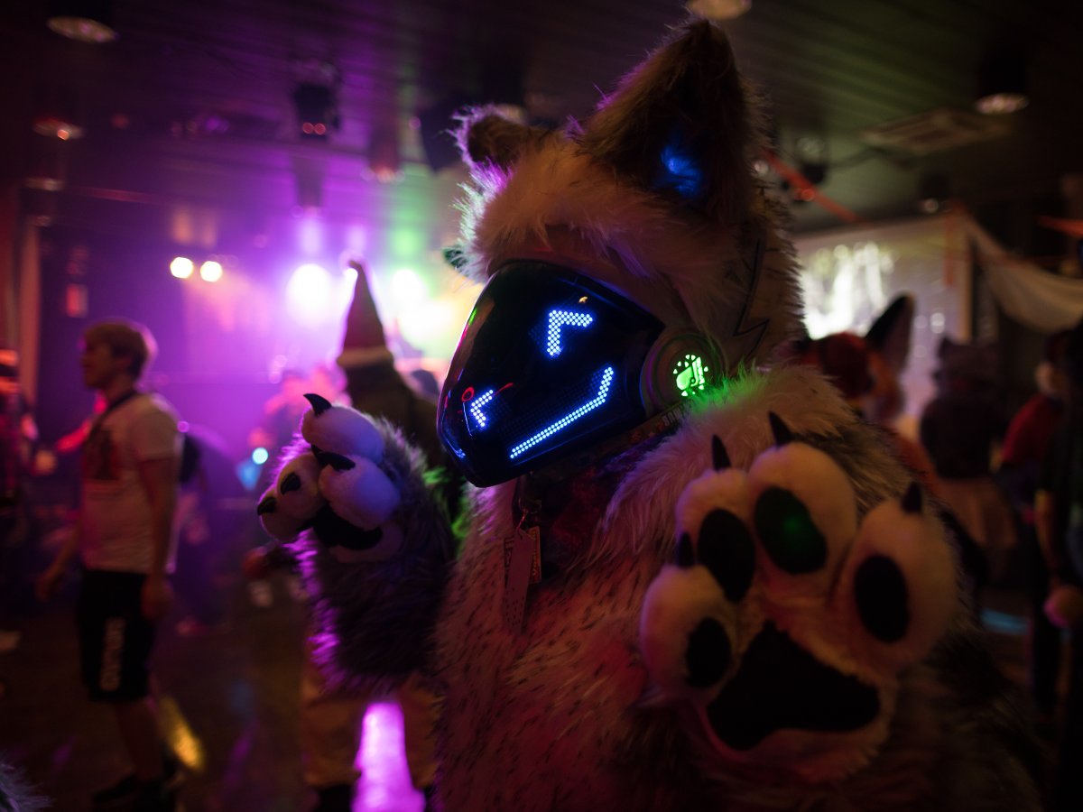 FinFur Animus 2024, Fursuits