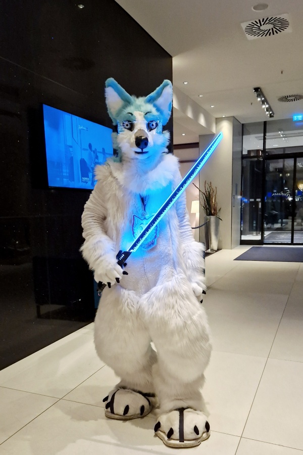 Eurofurence 27