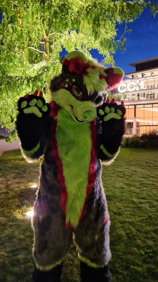 Eurofurence 27, Fursuits