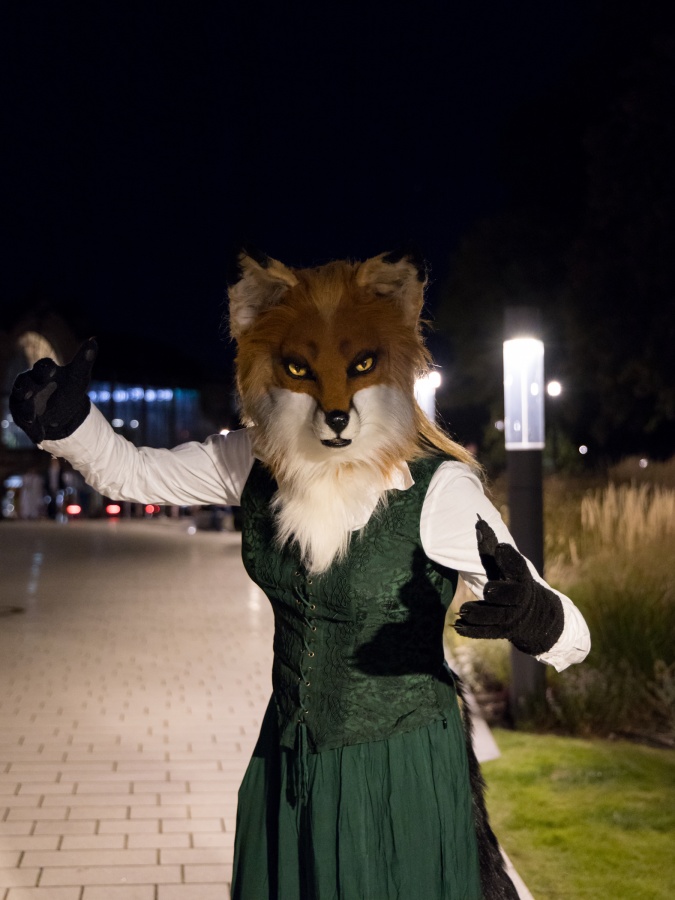 Eurofurence 27