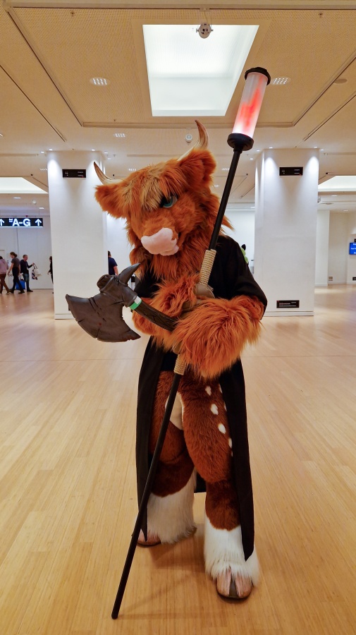 Eurofurence 27