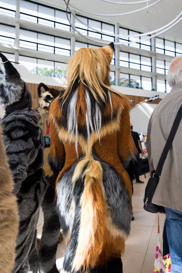 Eurofurence 27, Fursuit Parade