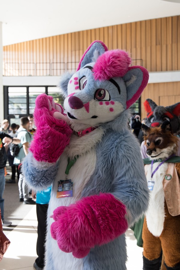 Eurofurence 27, Fursuit Parade