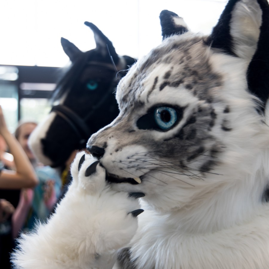 Eurofurence 27, Fursuit Parade