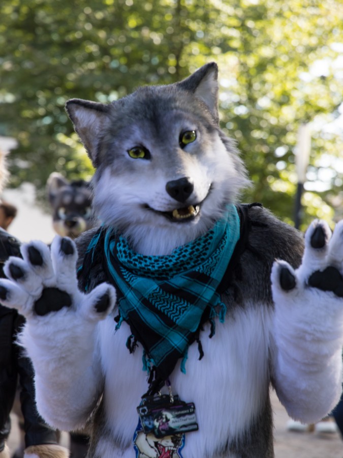 Eurofurence 27, Fursuit Parade