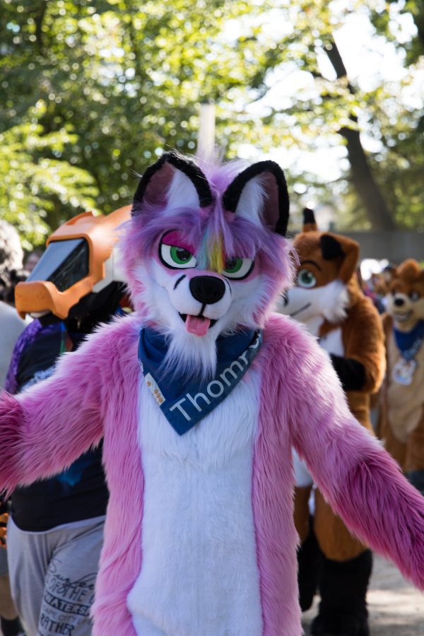 Eurofurence 27, Fursuit Parade