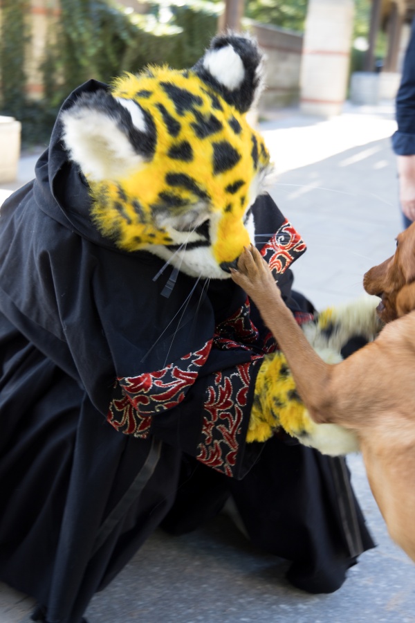 Eurofurence 27, Fursuit Parade