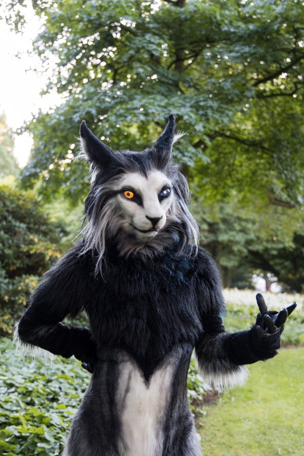 Eurofurence 27, Mini photoshoots