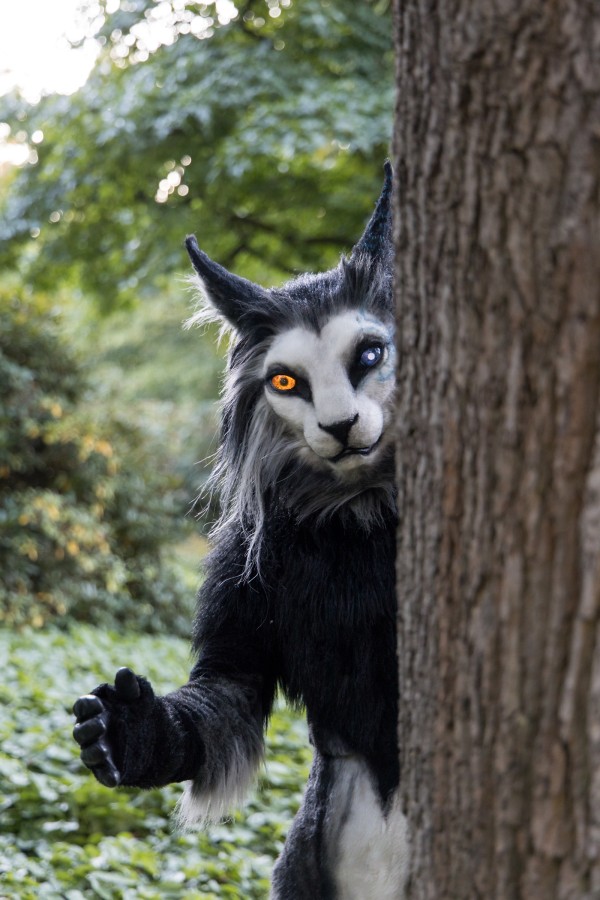 Eurofurence 27, Mini photoshoots