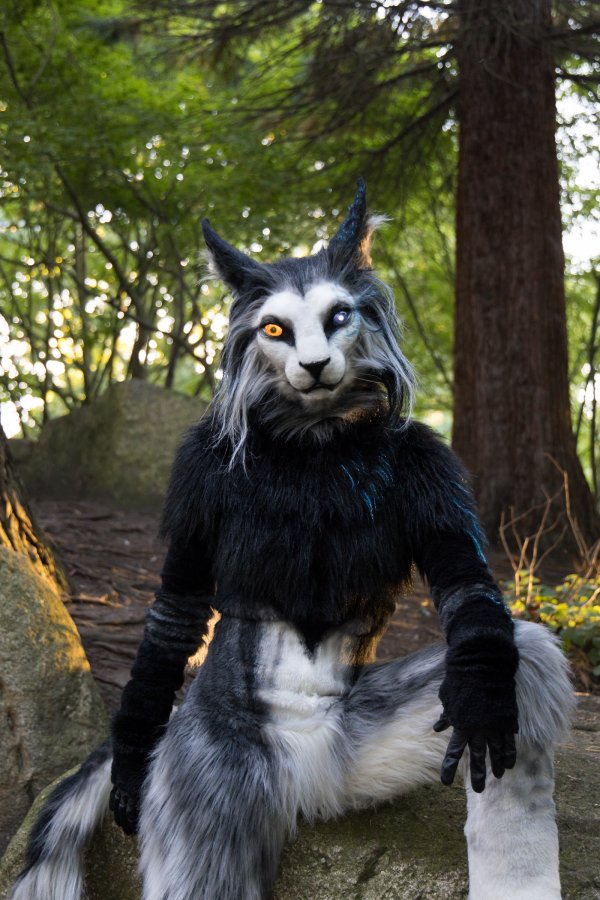 Eurofurence 27, Mini photoshoots