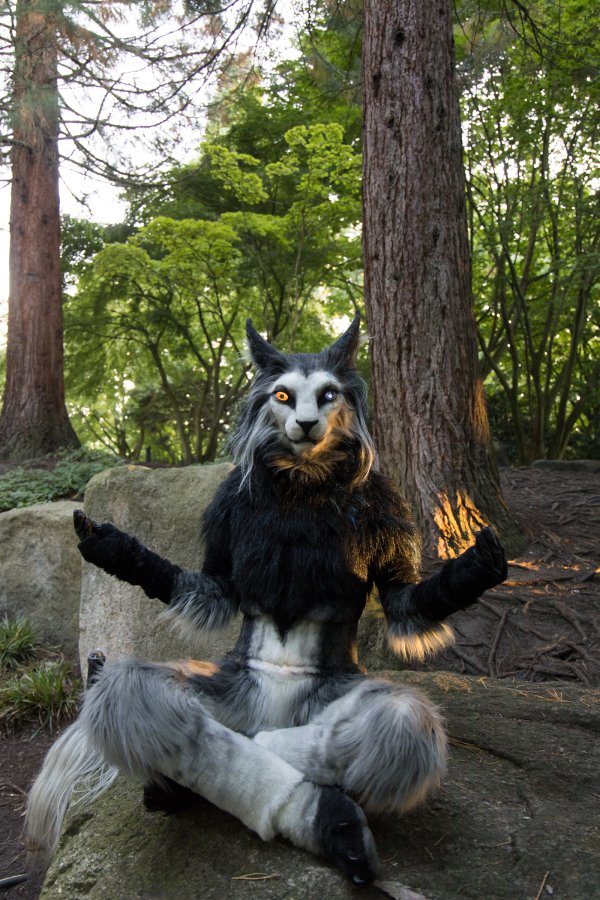 Eurofurence 27, Mini photoshoots