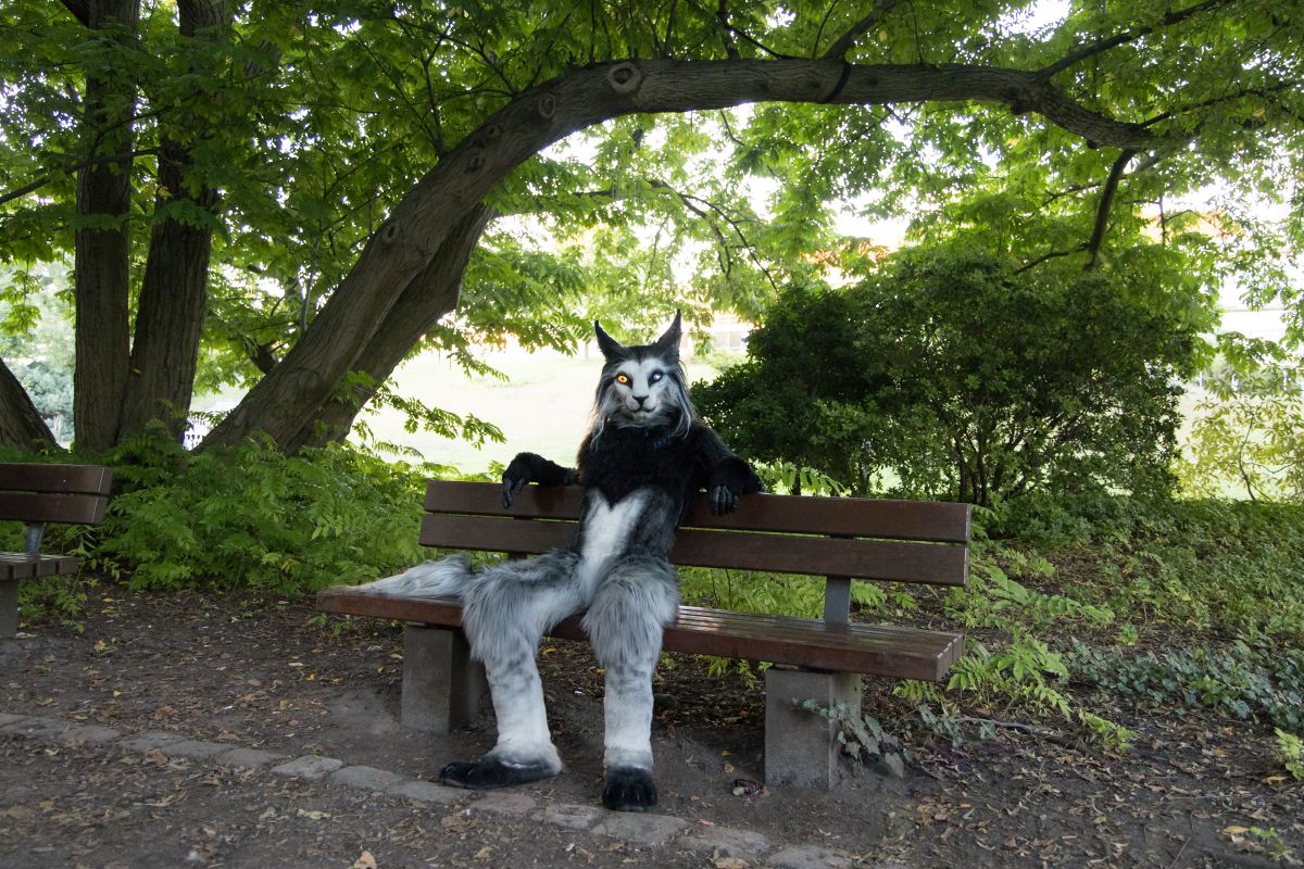 Eurofurence 27, Mini photoshoots