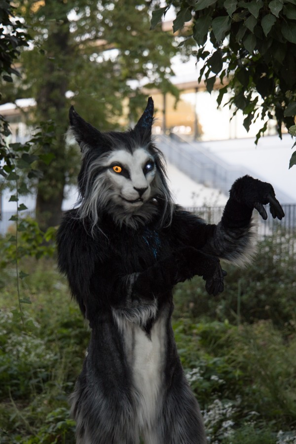 Eurofurence 27, Mini photoshoots