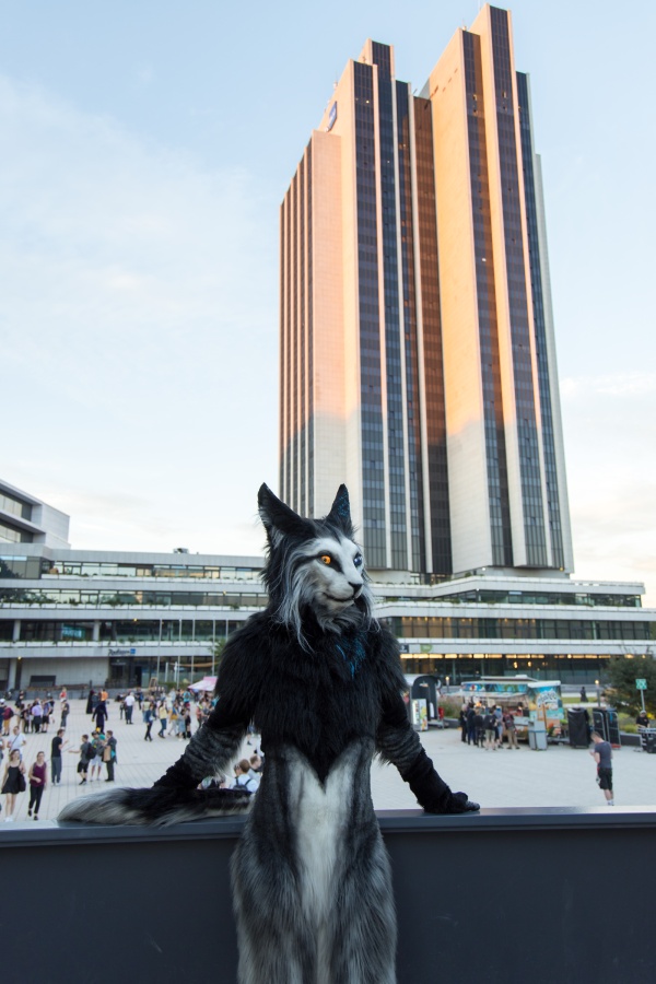 Eurofurence 27, Mini photoshoots