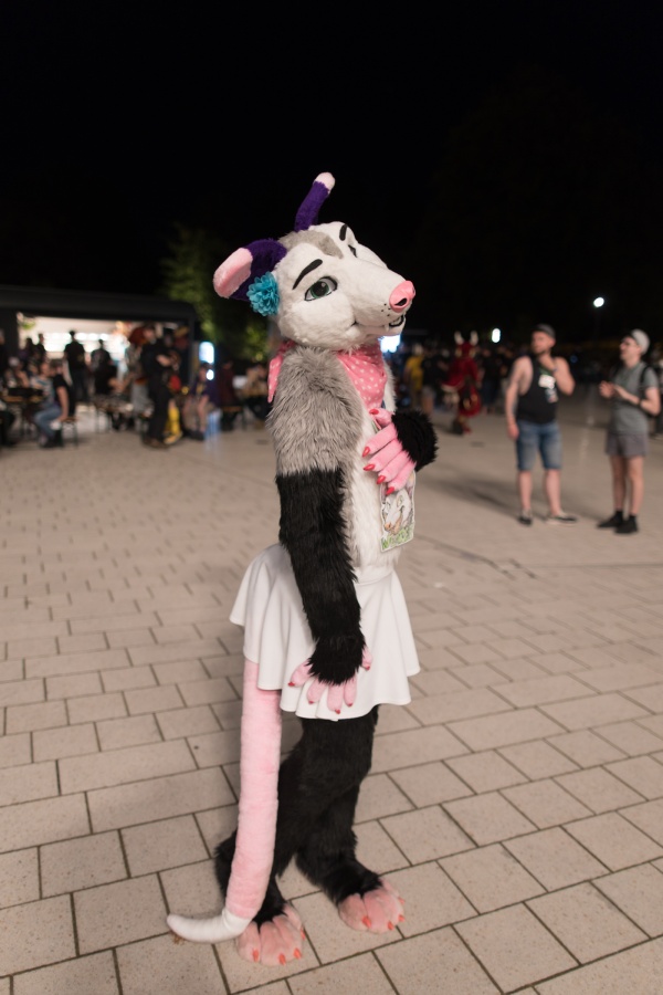 Eurofurence 27, Fursuits