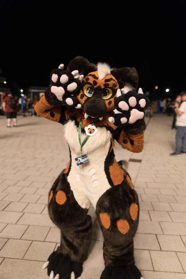 Eurofurence 27, Fursuits