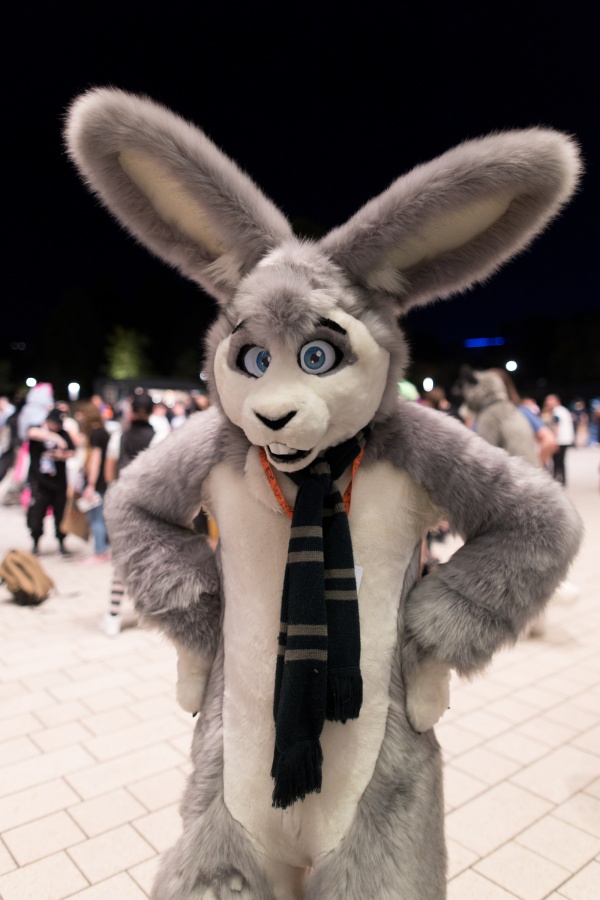 Eurofurence 27, Fursuits