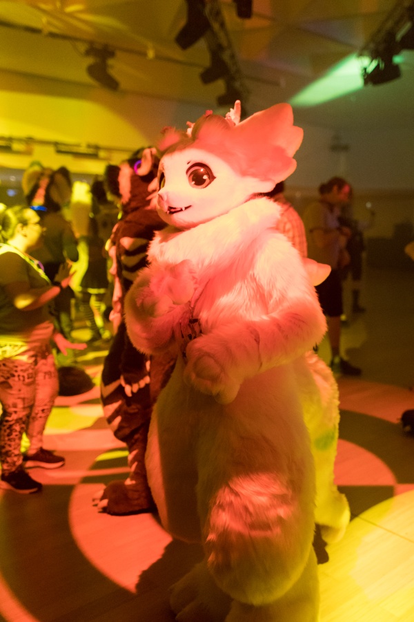 Eurofurence 27