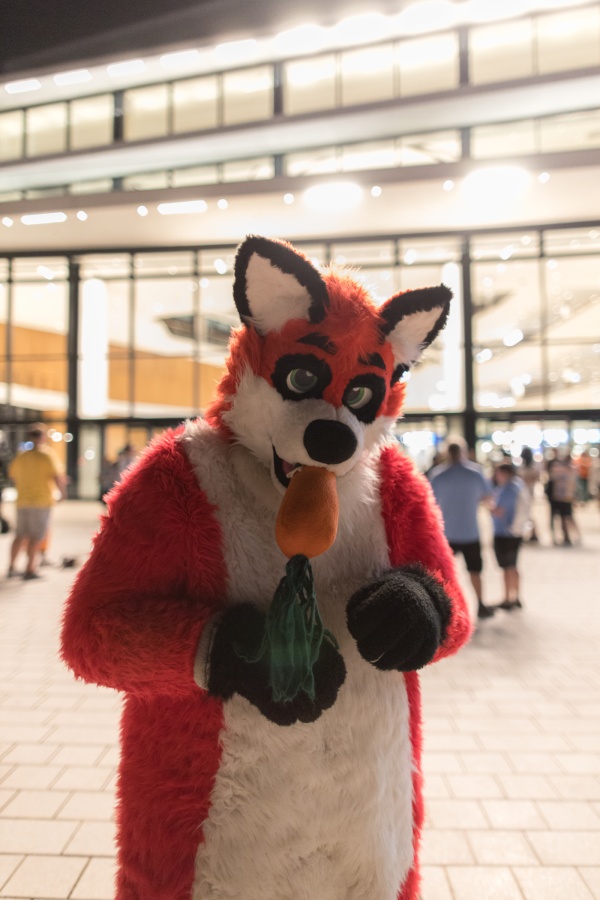 Eurofurence 27