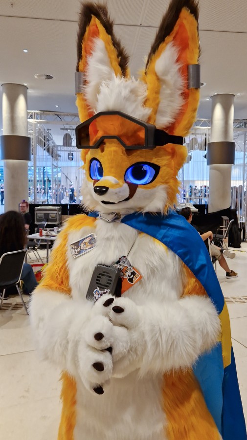 Eurofurence 27, Fursuits