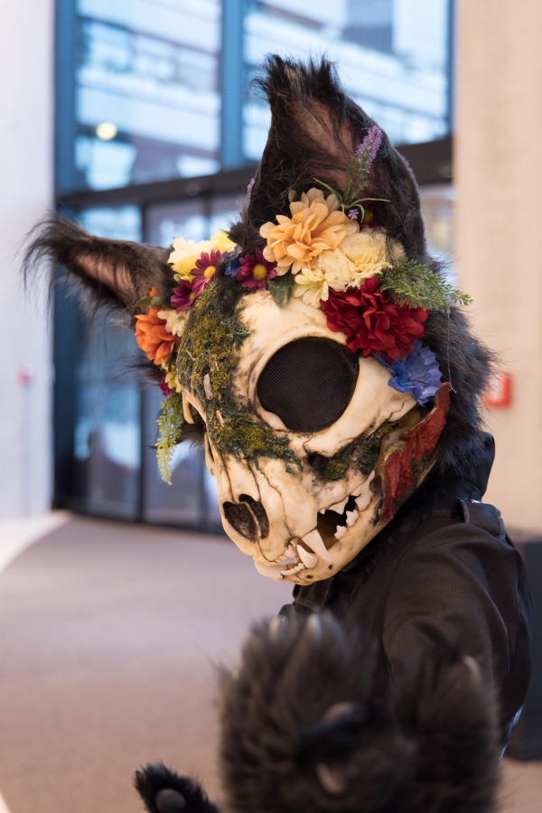 Eurofurence 27