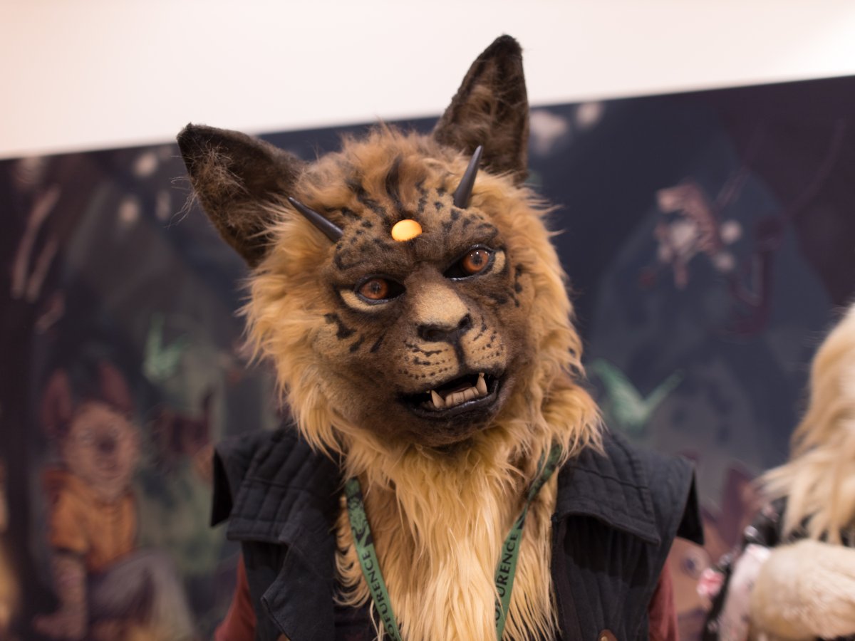 Eurofurence 27, Mini photoshoots