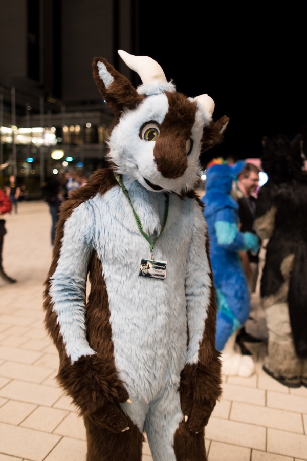 Eurofurence 27, Fursuits