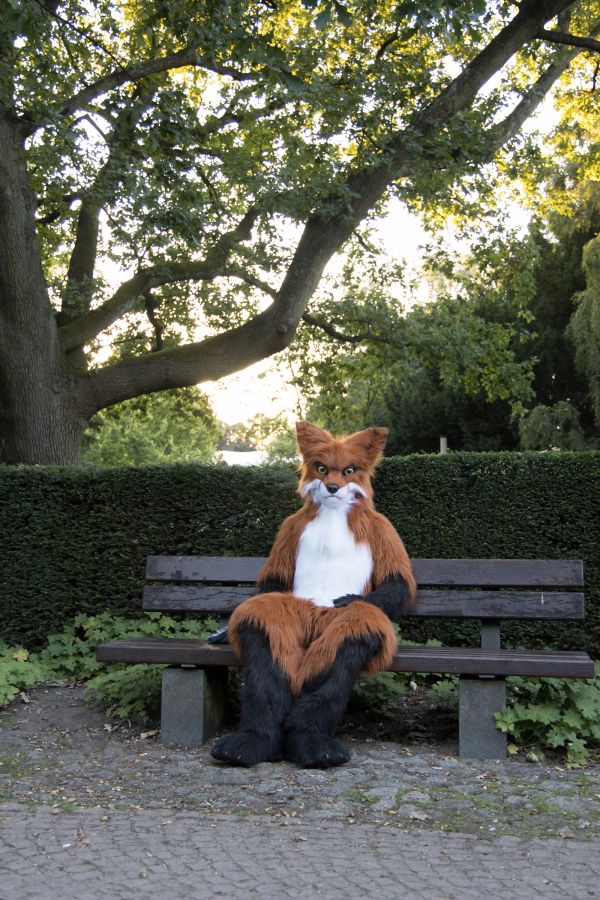 Eurofurence 27, Mini photoshoots