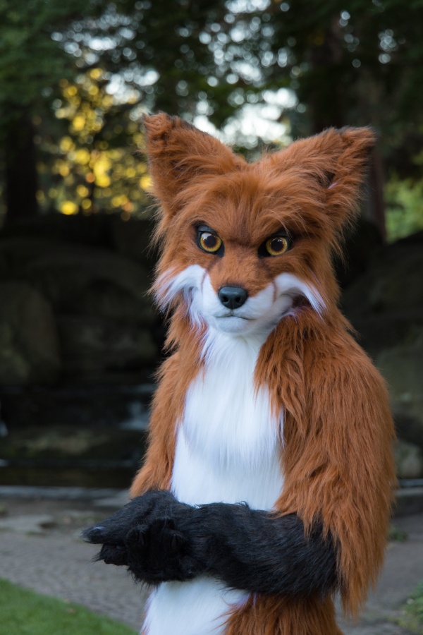 Eurofurence 27, Mini photoshoots