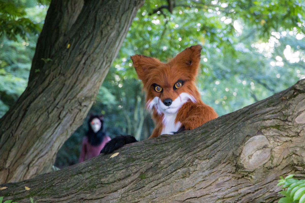 Eurofurence 27, Mini photoshoots