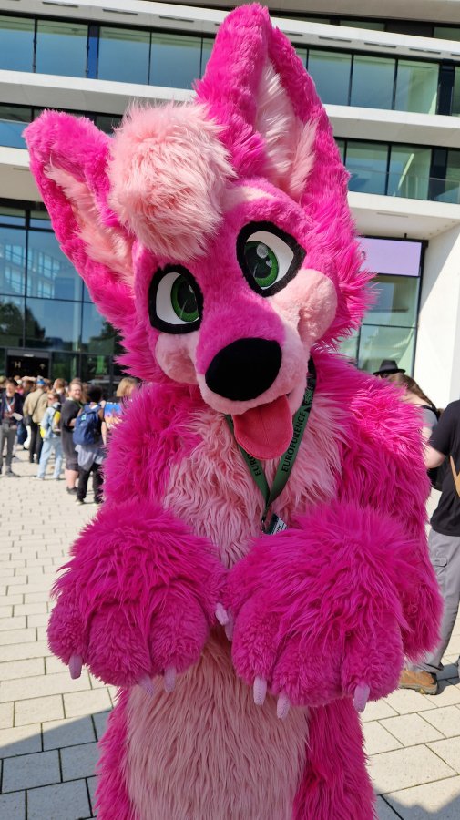 Eurofurence 28