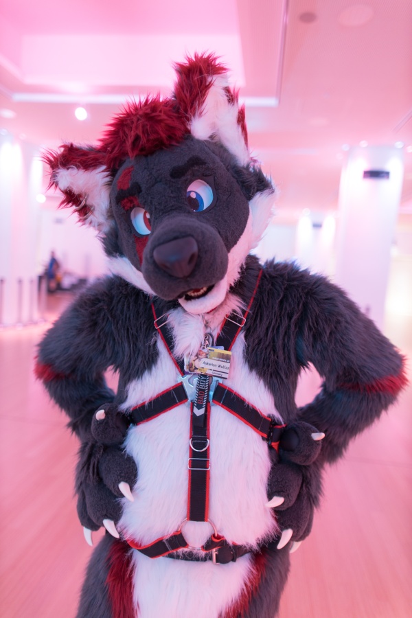 Eurofurence 28