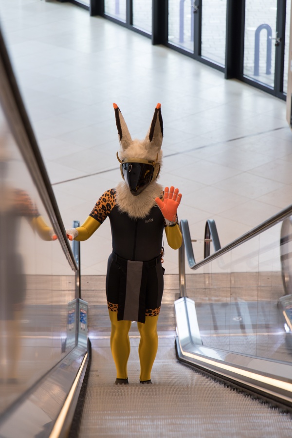 Eurofurence 28