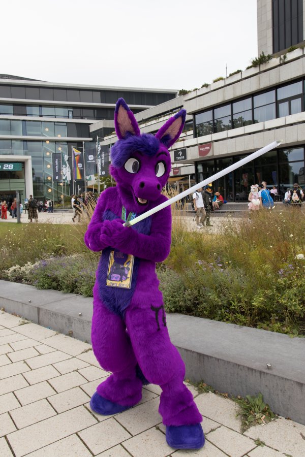 Eurofurence 28