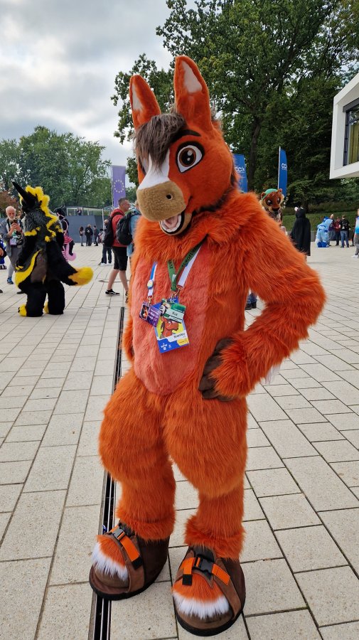 Eurofurence 28