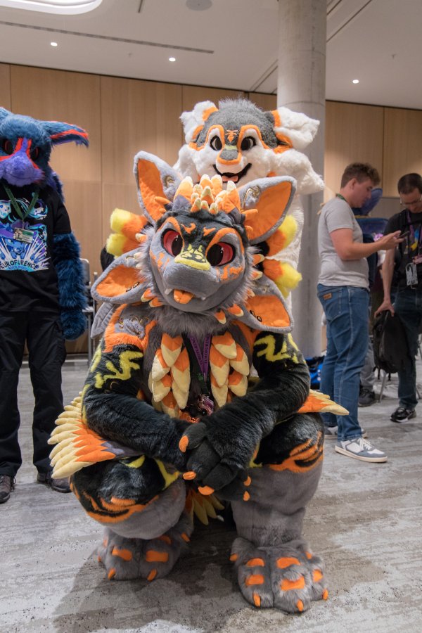 Eurofurence 28