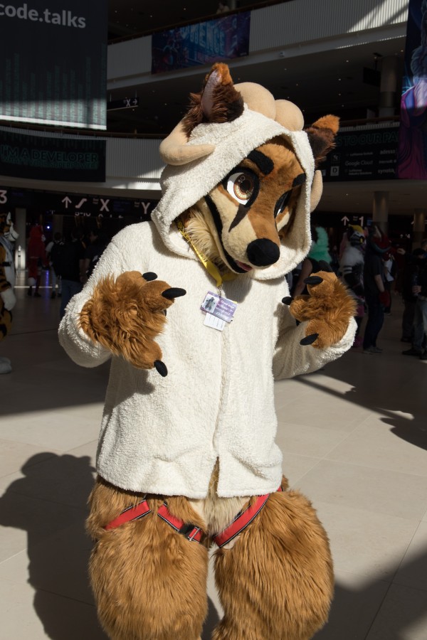 Eurofurence 28