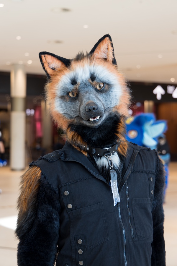 Eurofurence 28