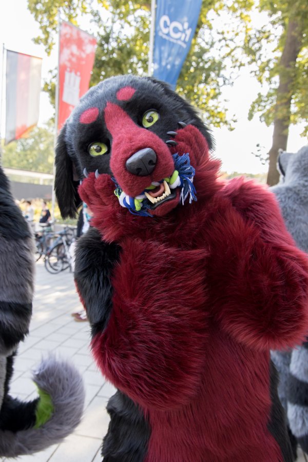 Eurofurence 28