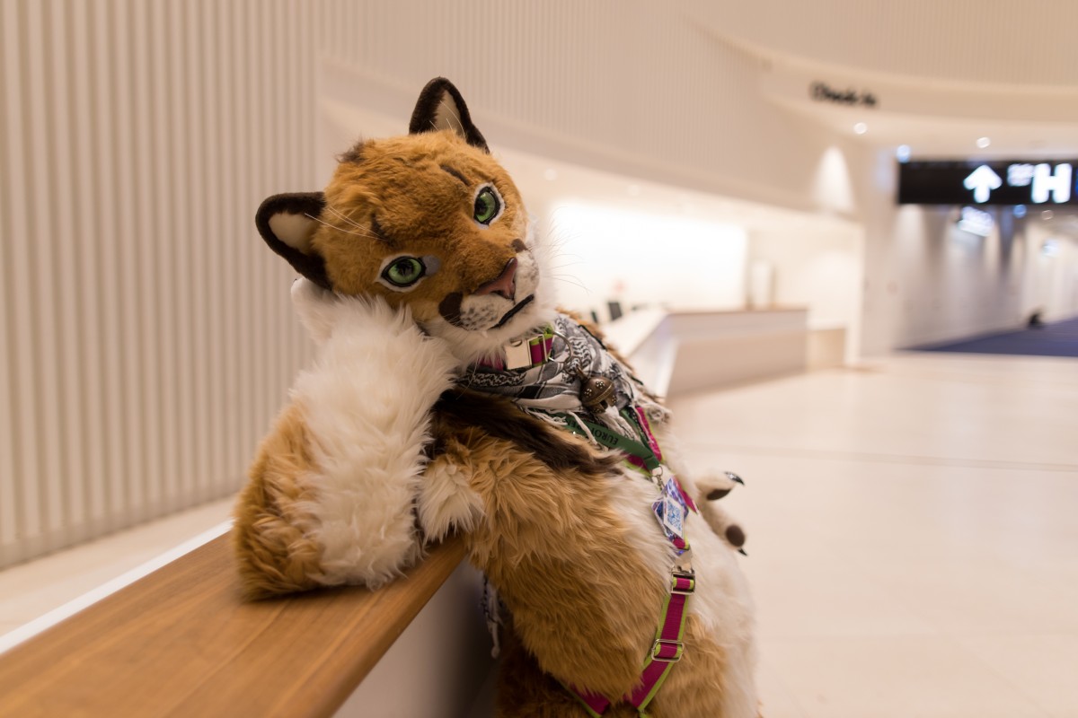 Eurofurence 28