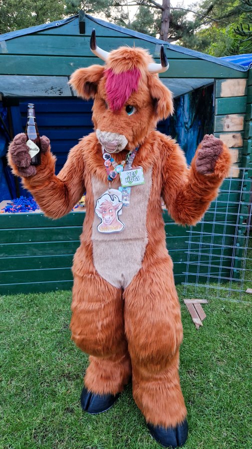 Furry Weekend Holland 2023, Fursuits