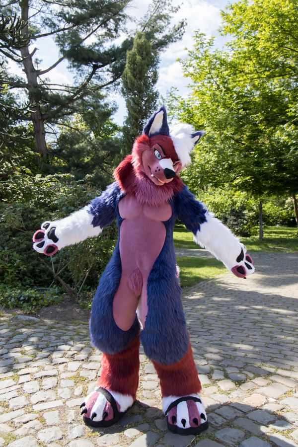 Furry Weekend Holland 2023, Fursuits