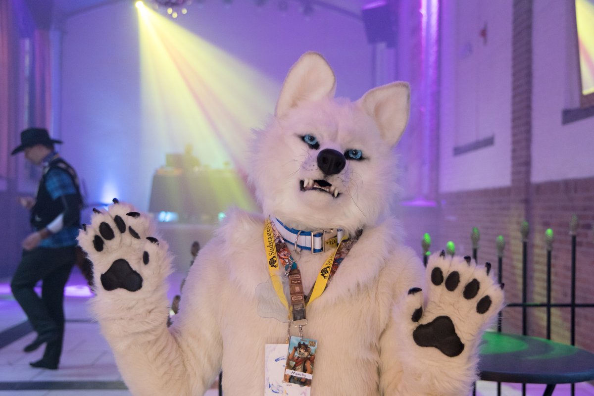 Furry Weekend Holland 2023, Fursuits