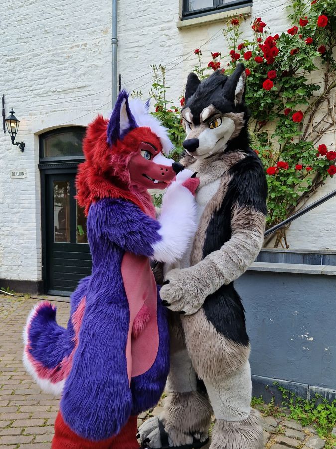 Furry Weekend Holland 2023, Fursuits