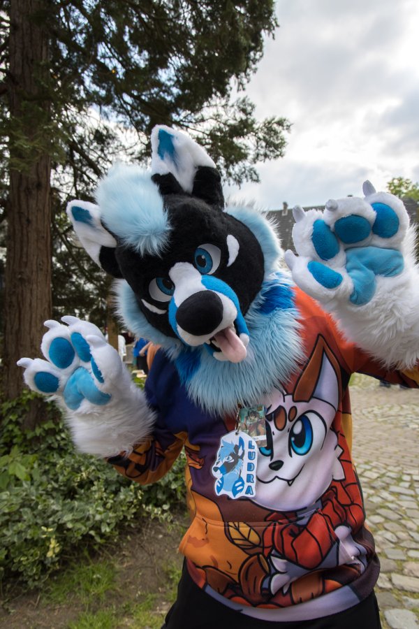 Furry Weekend Holland 2023, Fursuits