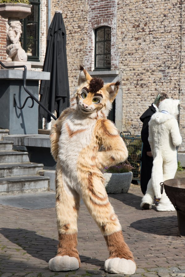 Furry Weekend Holland 2023, Fursuits